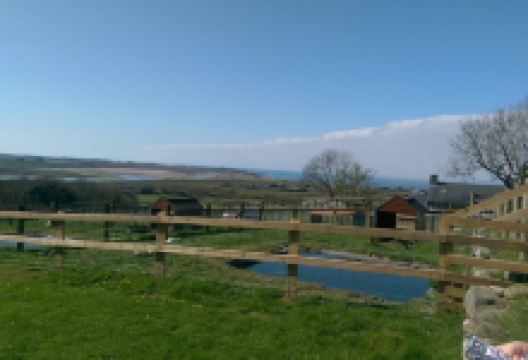 Children's Farm Park景点图片