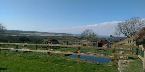 Children's Farm Park