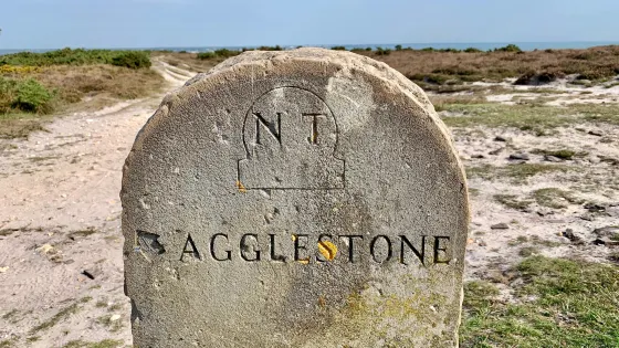 Agglestone Rock
