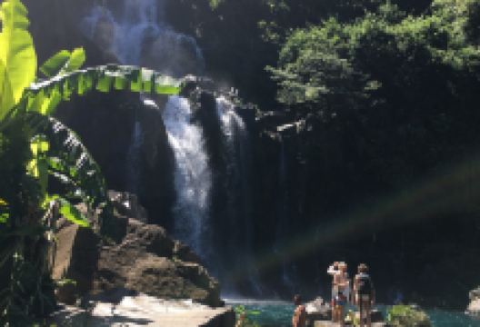 Bassin Cormoran景点图片