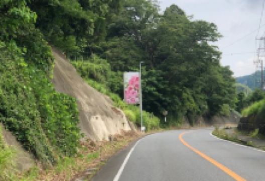 Okanoue Rose Garden景点图片