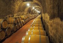 Bodega Carlos Moro景点图片