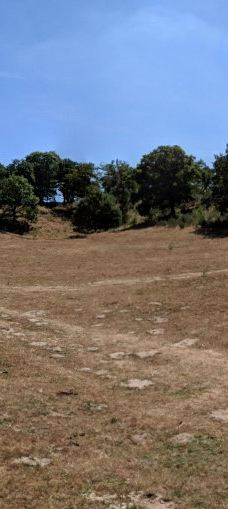 Svanninge Bakker-福堡