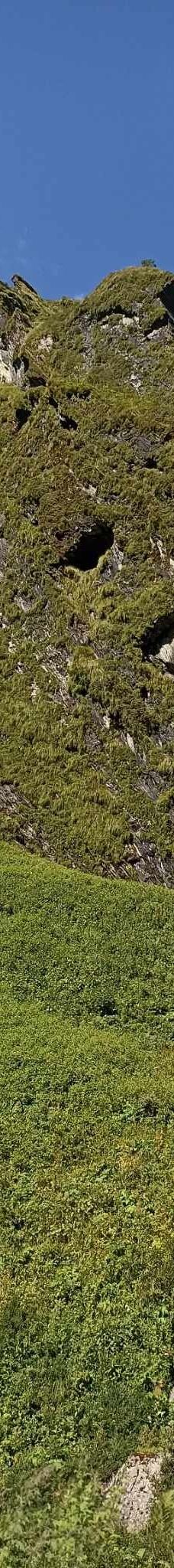 Annapurna Base Camp-卡斯基