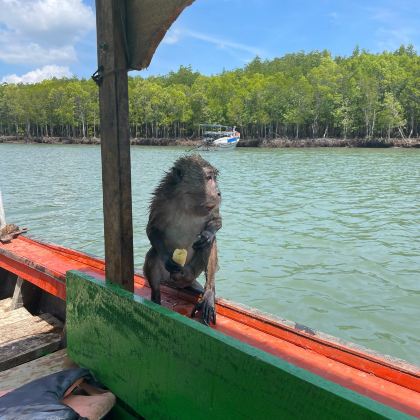 泰国甲米+兰塔岛3日2晚自由行
