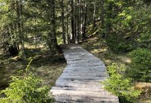 Turbaria Laptici景点图片