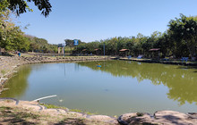 Pesqueiro Casa da Garça餐厅图片