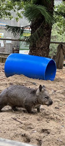 Bunbury Wildlife Park-South Bunbury