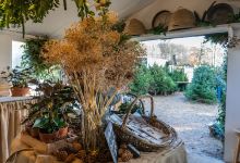 Exedra Nursery Christmas Trees购物图片
