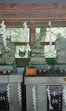 不动瀑布-八幡平市