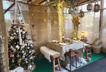 Jardinerie Gassian Delbard购物图片