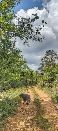 圣博姆地区自然公园-锡涅