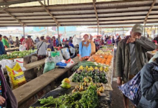 Mount Hagen Market购物图片