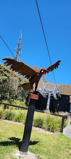 Arthurs Seat Eagle - Summit Station-德罗马纳