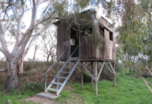 swanport wetlands bird watching house景点图片