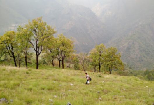 Hattilek景点图片