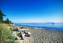McMorran Park and Beach Access景点图片