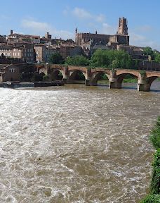 Le Jardin National-阿尔比