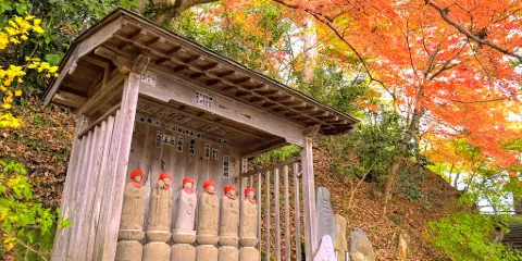 永源寺（紅葉寺）