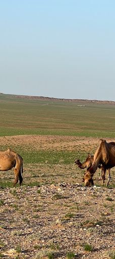 Tsagaan Suvarga (White Stupa)-Ulziit