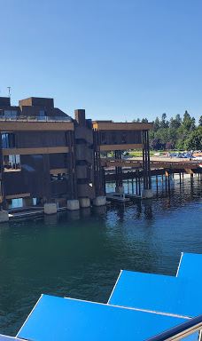 McEuen Park and Dog Park-科达伦