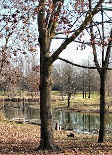 Parco della Pellerina-都灵