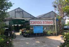 Mashtelat HaMoshava购物图片