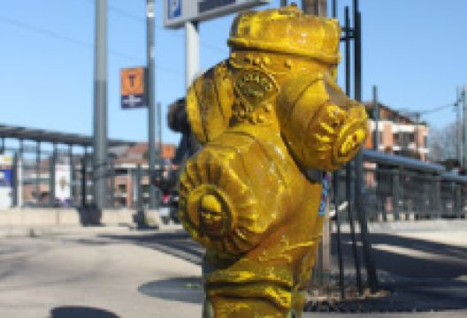 Raynaud Williams景点图片