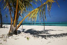 Guest Beach景点图片