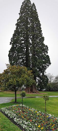 Gore Public Gardens-戈尔