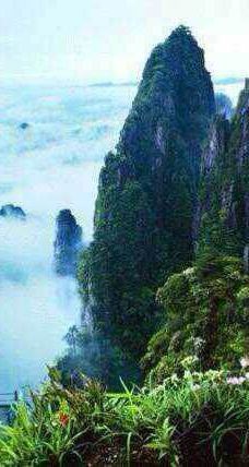 大别山国家森林公园-罗田