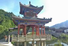 华阳秦岭珍稀植物盆景圆购物图片