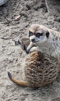 Zoo Kosice-科希策1区