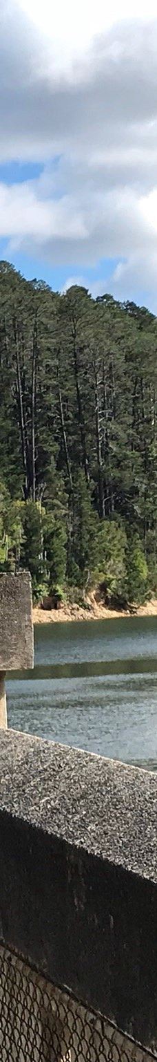 Maroondah Reservoir Park-希尔斯维尔