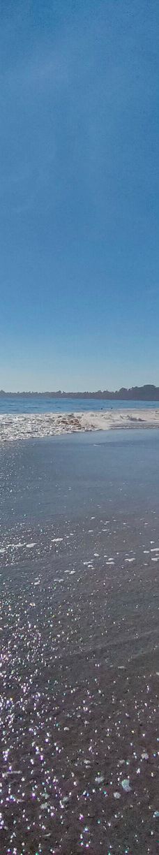 Seacliff State Beach-阿普托斯