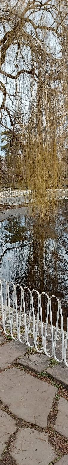 Danube Park-诺维萨德