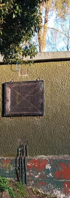 Hazelbank Park-纽敦阿比