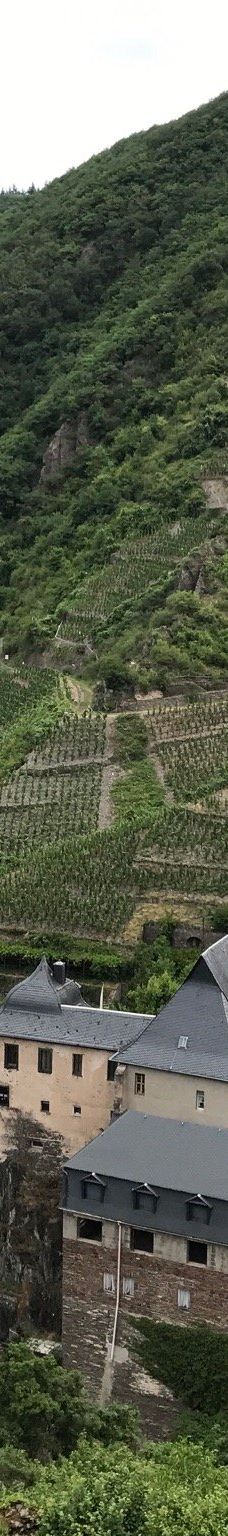 Metternich Castle-拜尔施泰因