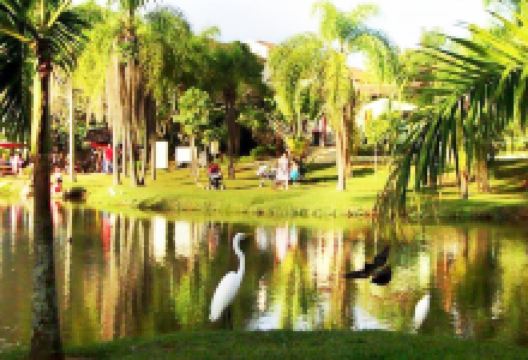 Parque Natural da Água Vermelha "João Câncio Pereira”景点图片