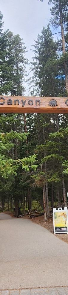 强斯顿峡谷-Improvement District No. 9