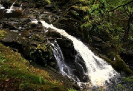 Plodda Falls景点图片