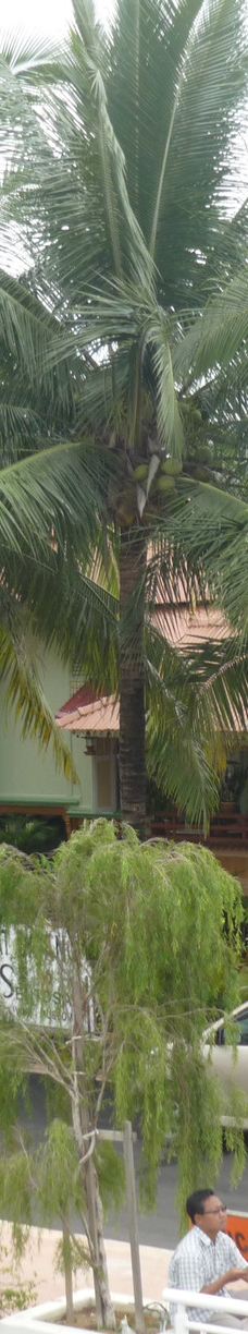 圣淘沙别墅-马六甲