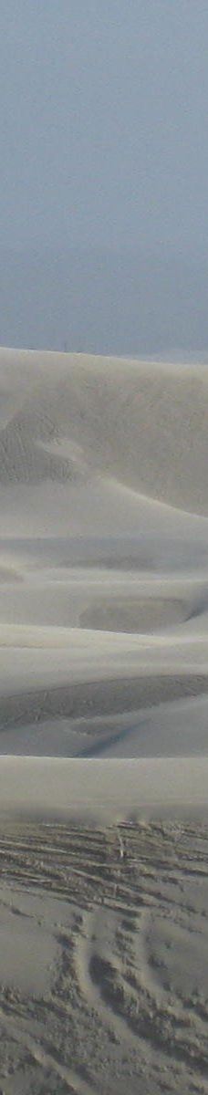 Sandland Adventures Inc-雷恩县