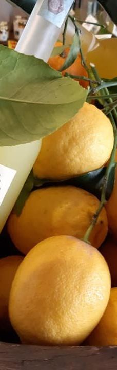 I Giardini di Cataldo-索伦托