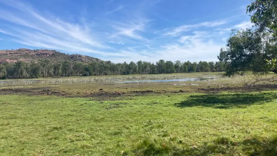 Anbangbang Billabong
