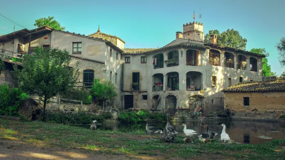 Moli de la Llavina