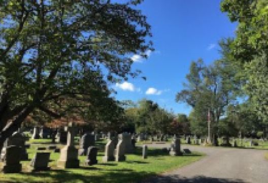 普林斯顿公墓景点图片