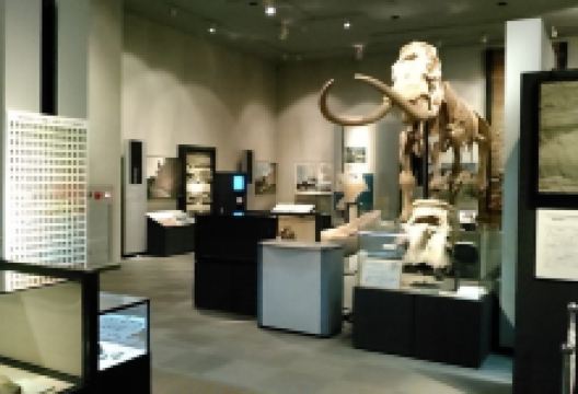 千叶县立中央博物馆景点图片