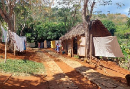 Black Lemur Sanctuary景点图片