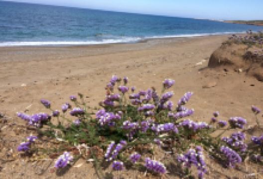 Toxeftra Beach景点图片